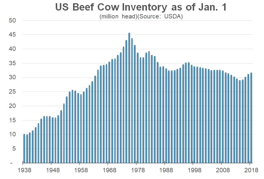 US Beef Cow Inventory